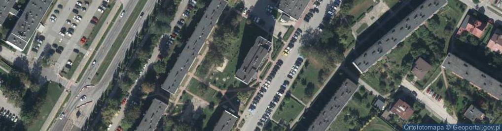 Zdjęcie satelitarne Handel Obwoźny