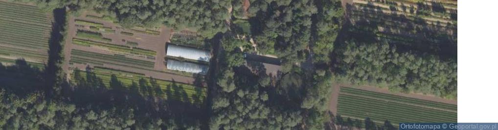 Zdjęcie satelitarne Handel Okrężny