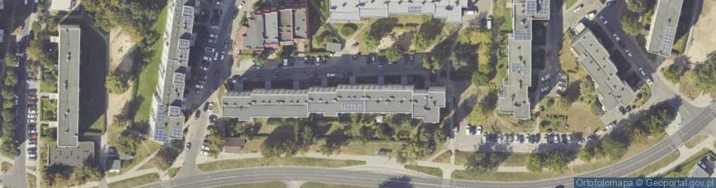 Zdjęcie satelitarne Handel Okrężny