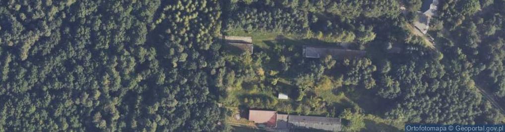 Zdjęcie satelitarne Handel Okrężny