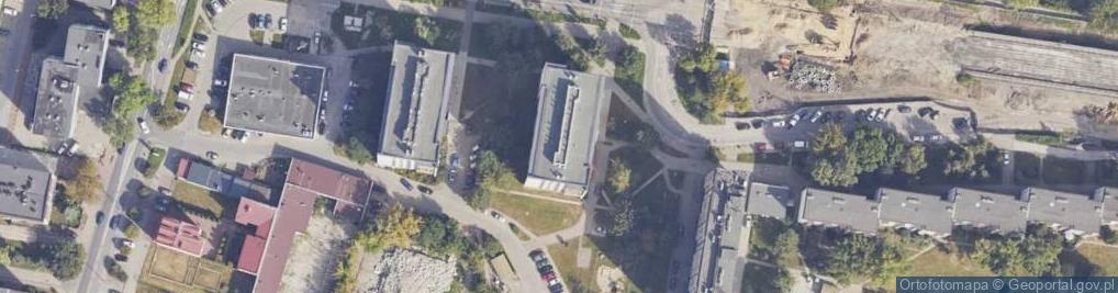 Zdjęcie satelitarne Handel Okrężny