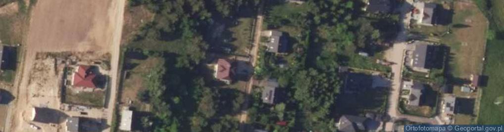 Zdjęcie satelitarne Handel