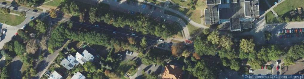 Zdjęcie satelitarne Handlowa Domiś