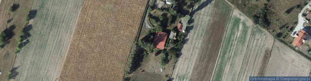Zdjęcie satelitarne Henryk Kwiatkowski - Działalność Gospodarcza