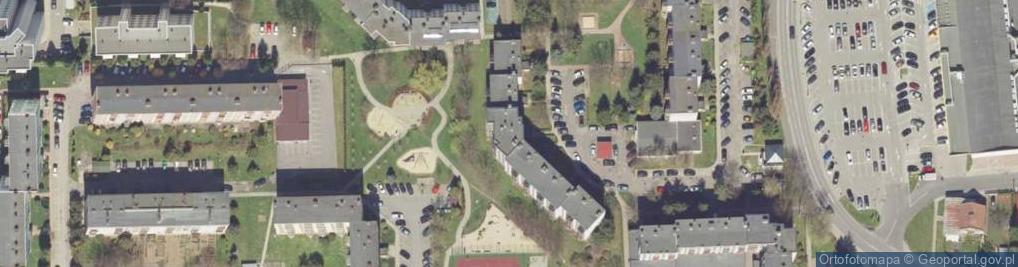 Zdjęcie satelitarne Heracleum