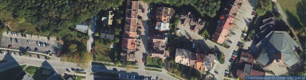 Zdjęcie satelitarne Higo