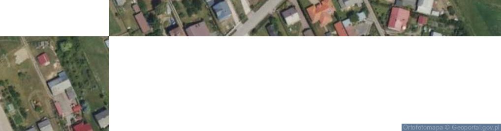 Zdjęcie satelitarne Homo Sapiens