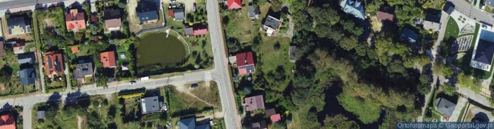 Zdjęcie satelitarne HornSeo Pozycjonowanie