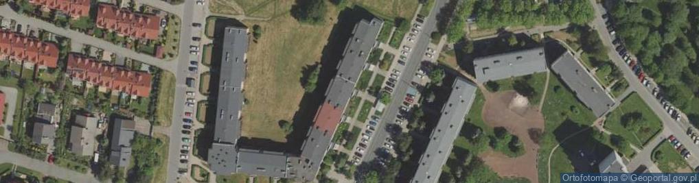 Zdjęcie satelitarne How To Live Aneta Spychalska