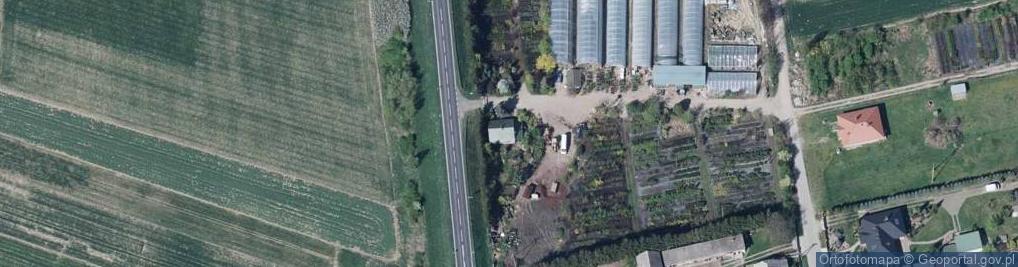 Zdjęcie satelitarne Hubczuk Marek. Gospodarstwo szkółkarskie