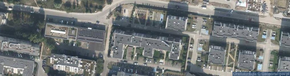 Zdjęcie satelitarne Human Web