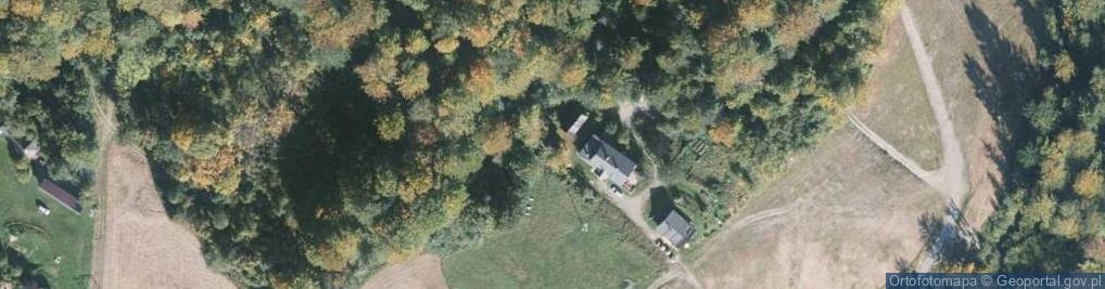 Zdjęcie satelitarne Iga Prochowska