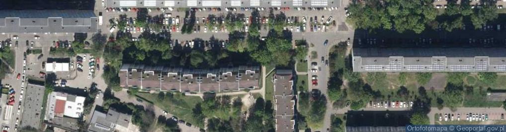 Zdjęcie satelitarne Image