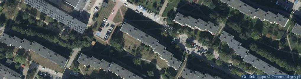 Zdjęcie satelitarne Import Eksport
