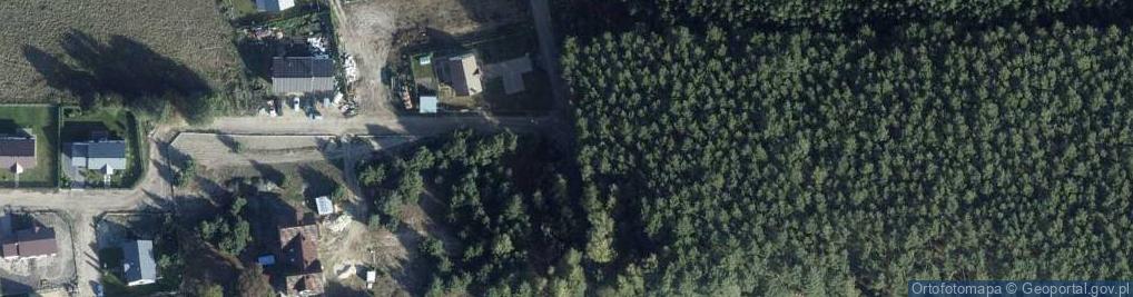 Zdjęcie satelitarne In The Woods