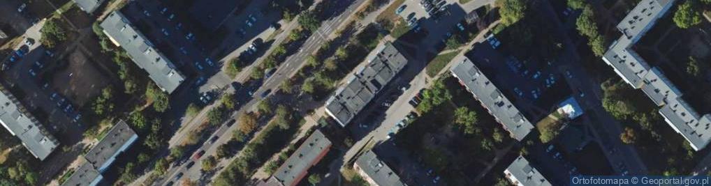 Zdjęcie satelitarne Indywidualna Praktyka Lekarska Alicja Święczkowska