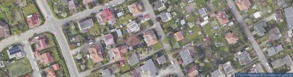 Zdjęcie satelitarne Info Service