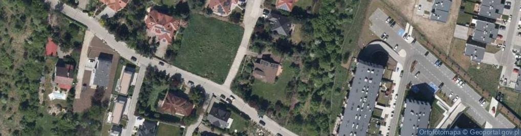 Zdjęcie satelitarne Intelligent Management Solutions