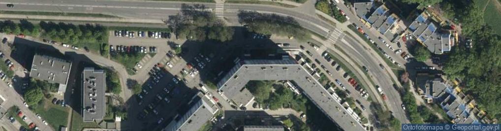 Zdjęcie satelitarne Irena Jagoda