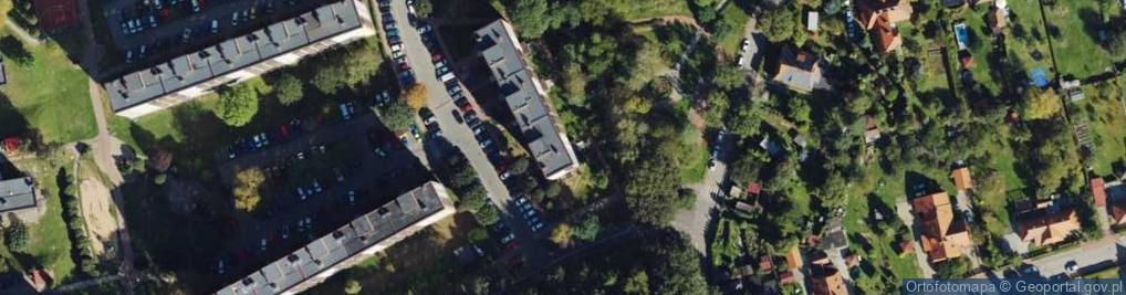 Zdjęcie satelitarne Irena Pałcik - Działalność Gospodarcza