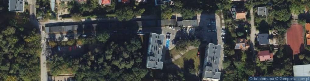 Zdjęcie satelitarne IVY