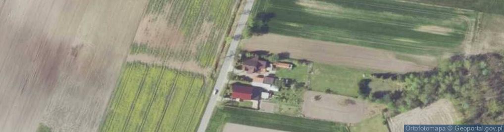 Zdjęcie satelitarne Izabela Jabłońska - Działalność Gospodarcza