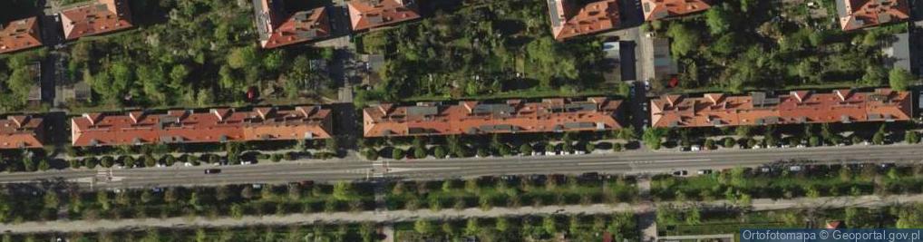 Zdjęcie satelitarne Izabela Michalska - Działalność Gospodarcza