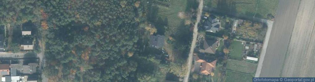 Zdjęcie satelitarne Jacek Łoś Jacek Łoś Jamalos