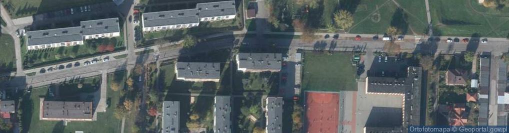 Zdjęcie satelitarne Jadwiga Górak - Działalność Gospodarcza