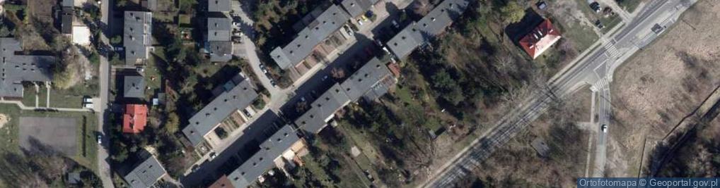 Zdjęcie satelitarne Jadwiga Moll - Działalność Gospodarcza