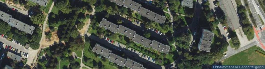 Zdjęcie satelitarne Jaguar Import Export