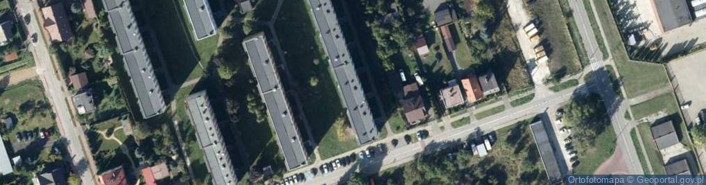 Zdjęcie satelitarne Jan Rosiński