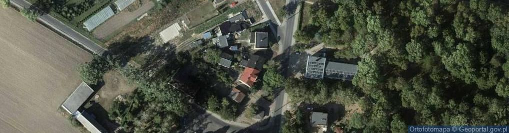 Zdjęcie satelitarne Janina Duchińska - Działalność Gospodarcza