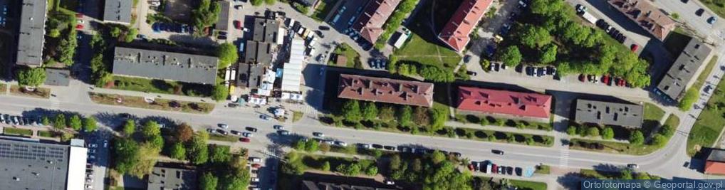 Zdjęcie satelitarne Janina Goździkowska