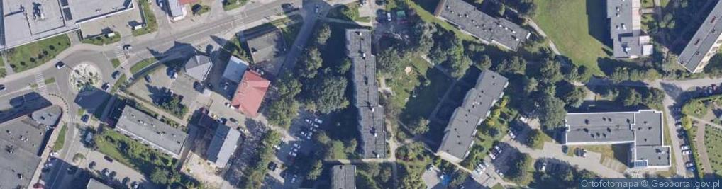 Zdjęcie satelitarne Janina Mlonek - Działalność Gospodarcza