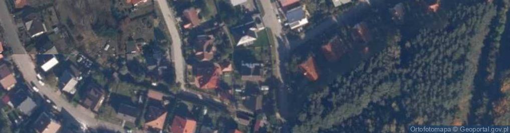 Zdjęcie satelitarne Janina Plesiewicz - Działalność Gospodarcza
