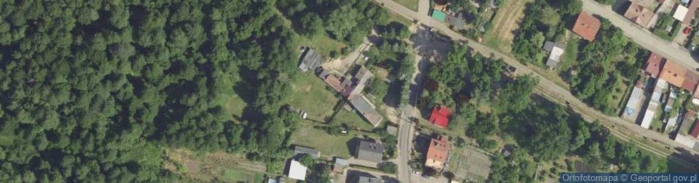 Zdjęcie satelitarne Janina Soloch - Działalność Gospodarcza