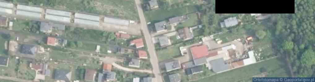 Zdjęcie satelitarne Janusz Kościelny - Działalność Gospodarcza