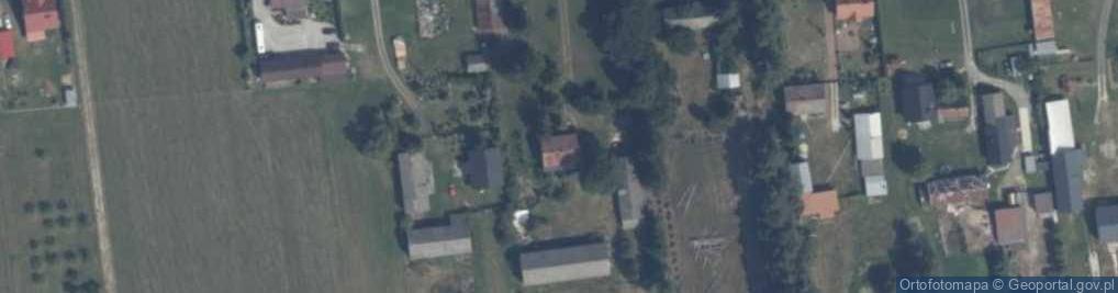 Zdjęcie satelitarne Janusz Paziewski - Działalność Gospodarcza