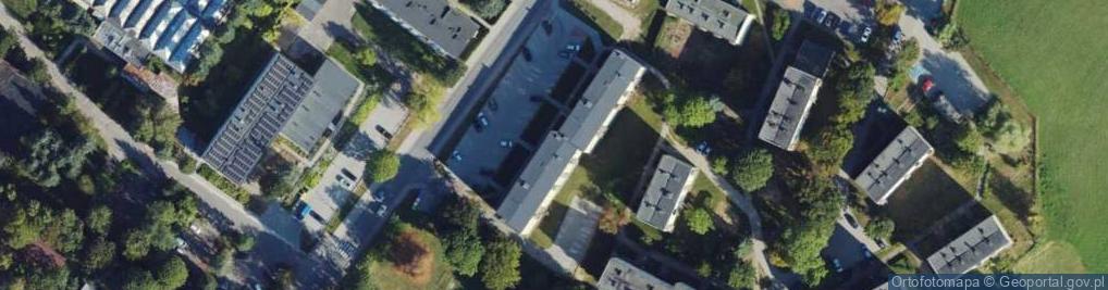 Zdjęcie satelitarne Januszewski