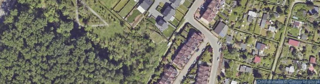 Zdjęcie satelitarne Jaros Anna 'Orto - Dent