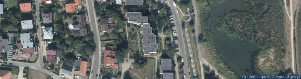 Zdjęcie satelitarne Jersey Queen Iwanowska Anna Staszkiewicz Lidia