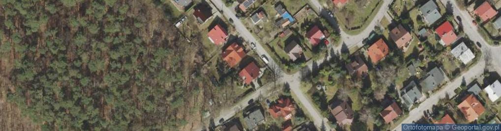 Zdjęcie satelitarne Jerzy Krzywda Biały Tulipan Rękodzieło