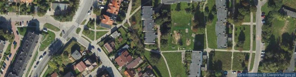 Zdjęcie satelitarne Jerzy Tęcza