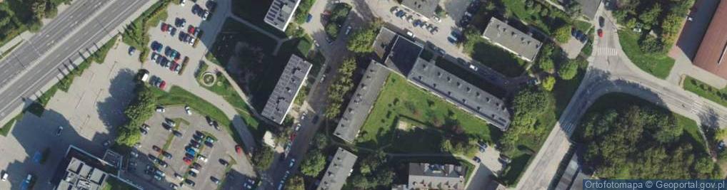 Zdjęcie satelitarne Joanna Izabela Kapuścińska