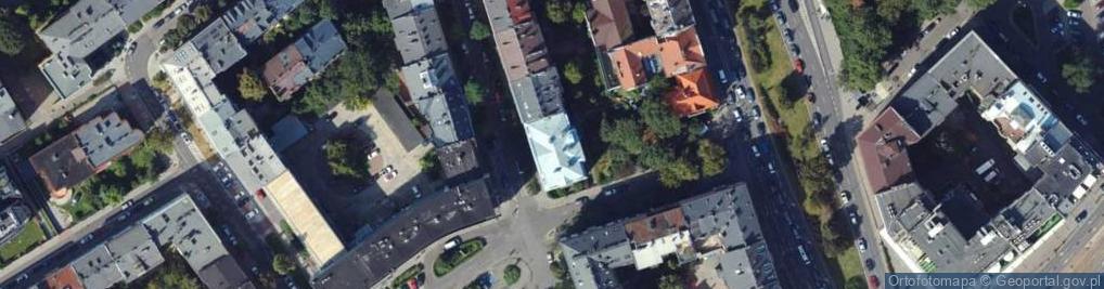 Zdjęcie satelitarne Joanna Kozyra