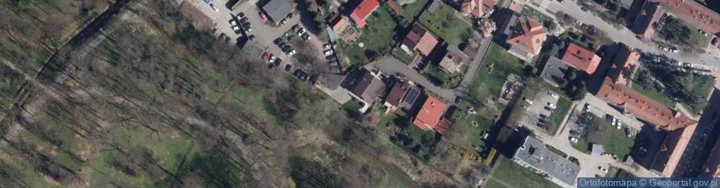 Zdjęcie satelitarne Joanna Lewandowska - Działalność Gospodarcza
