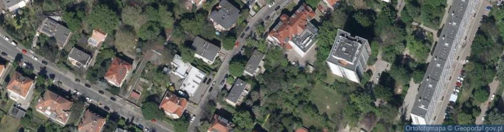 Zdjęcie satelitarne Joanna Matusiak. Mouse & Whale