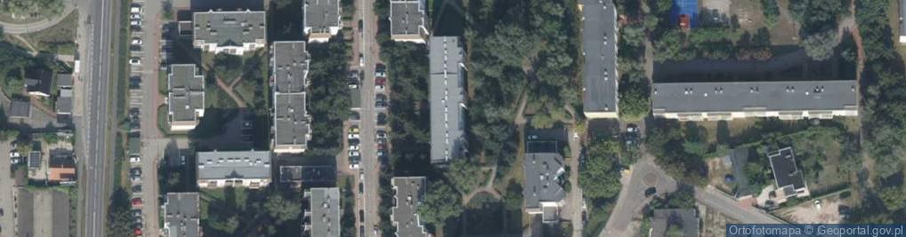 Zdjęcie satelitarne Joanna Trojanowicz Ładne Rzeczy