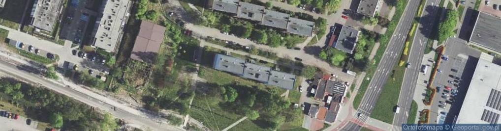 Zdjęcie satelitarne Joanna